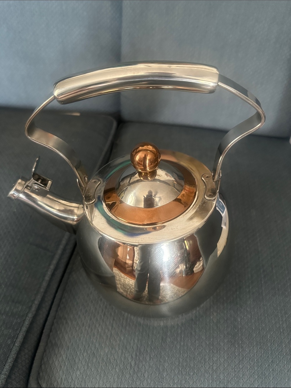 Well Equipped Kitchen tea kettle